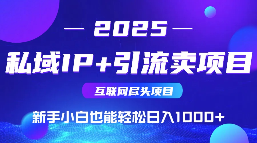 2025网创尽头项目，私域IP+引流，新手小白也能在家日入1000+-悟思笔记，一个低调的学习营。