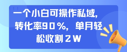 一个小白可操作私域，转化率90%，单月轻松收割2W-悟思笔记，一个低调的学习营。