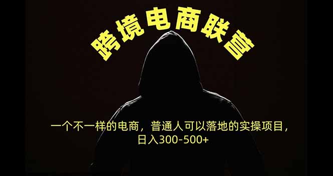 跨境电商联营，一个不一样的电商，普通人可操作日入300-500+-悟思笔记，一个低调的学习营。