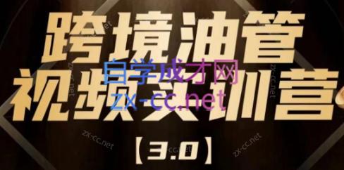 阿蔺Leo·跨境油管视频YouTube实训营(更新2025)-悟思笔记，一个低调的学习营。