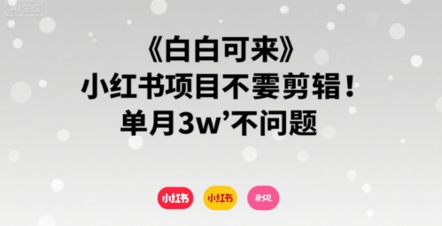 小白可来 小红书项目不需要剪辑 单月3w不是问题-悟思笔记，一个低调的学习营。