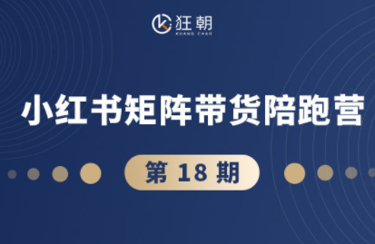 盗坤·抖音小红书视频号短视频带货与直播变现(11-18期)-悟思笔记，一个低调的学习营。