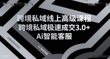 跨境私域线上高级课程，跨境私域极速成交3.0+Ai智能客服-悟思笔记，一个低调的学习营。