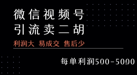 视频号卖二胡教程，利润大 易成交 售后少，一单利润5张+-悟思笔记，一个低调的学习营。