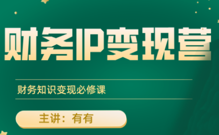 有有老师·财务IP变现营，财务知识变现必修课-悟思笔记，一个低调的学习营。