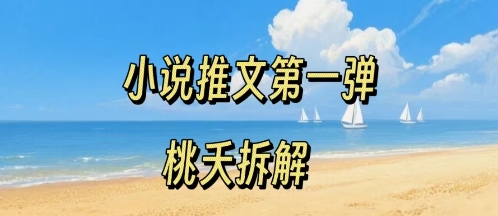 小说推文项目操作全流程第一弹，0粉就能做，门槛低非常适合新手-悟思笔记，一个低调的学习营。