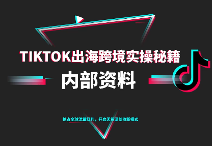 TikTok跨境电商0-1搭建运营(更新10月)-悟思笔记，一个低调的学习营。