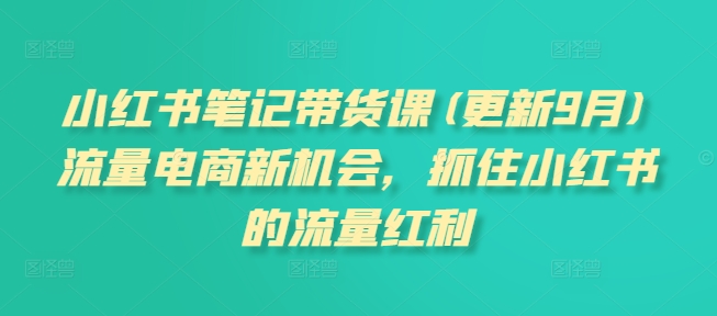 小红书笔记带货课(更新25年4月)流量电商新机会，抓住小红书的流量红利-悟思笔记，一个低调的学习营。