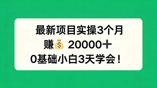 最新项目实操3个月，赚钱20000+，0基础小白3天学会！-悟思笔记，一个低调的学习营。