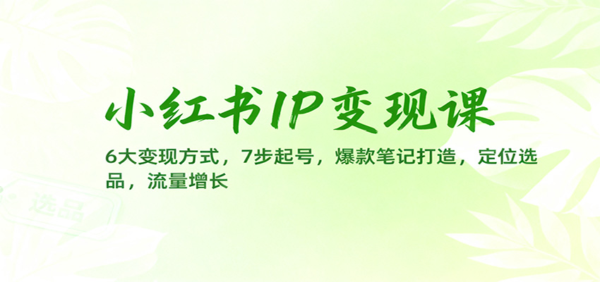 小红书IP变现课：6大变现方式，7步起号，爆款笔记打造，定位选品，流量增长-悟思笔记，一个低调的学习营。
