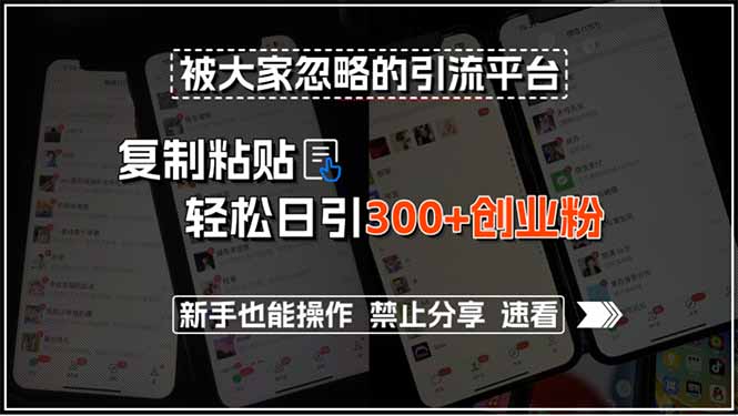 被大家忽略的引流平台，复制粘贴轻松日引300+创业粉，新手也能操作，禁…-悟思笔记，一个低调的学习营。