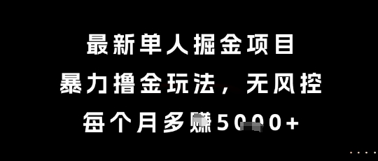 最新单人掘金项目，暴力撸金玩法，无风控，每个月多挣5k+【揭秘】-悟思笔记，一个低调的学习营。