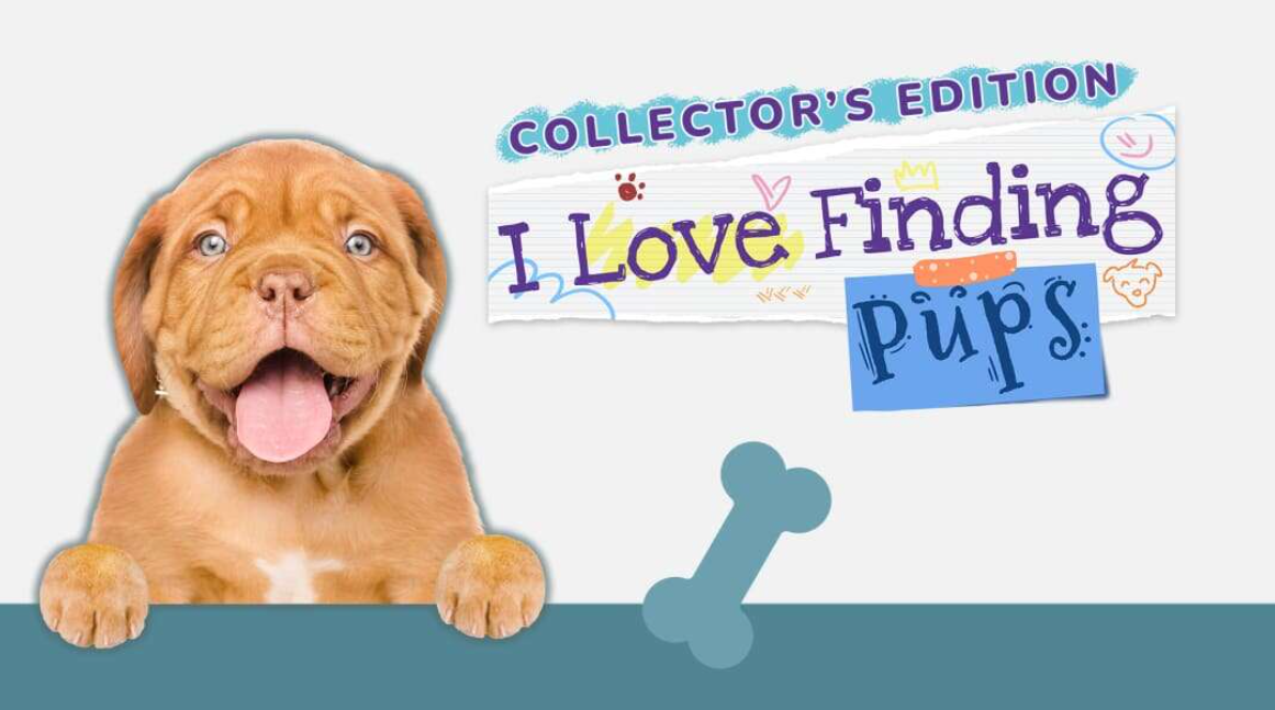 《我爱找小狗 I Love Finding Pups – Collectors Edition》Switch英文版NSP下载-悟思笔记，一个低调的学习营。