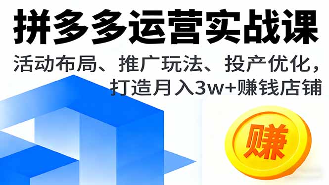 拼多多运营实战课，活动布局、推广玩法、投产优化，打造月入3w+赚钱店铺-悟思笔记，一个低调的学习营。