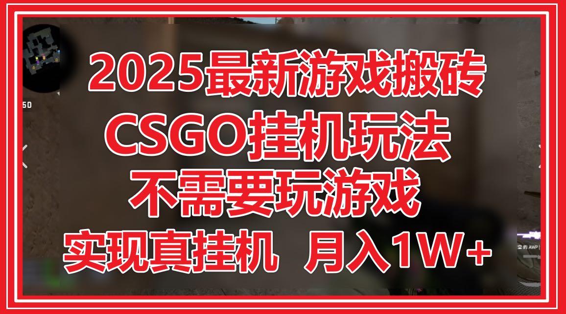2025最新游戏搬砖，CSGO挂机，不需要玩游戏，实现真挂机，月入1W+-悟思笔记，一个低调的学习营。