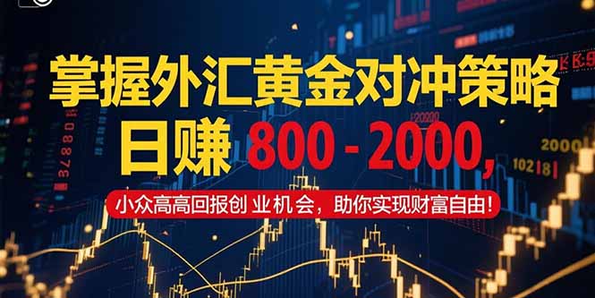 掌握外汇黄金对冲策略，日赚 800 – 2000，小众高回报创业机会，助你实…-悟思笔记，一个低调的学习营。