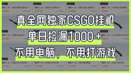 真全网独家CSGO挂G，单日捡漏1k+【揭秘】-悟思笔记，一个低调的学习营。
