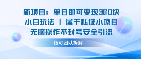 新项目单日即可变现3张的小白玩法无脑操作不封号安全引流-悟思笔记，一个低调的学习营。