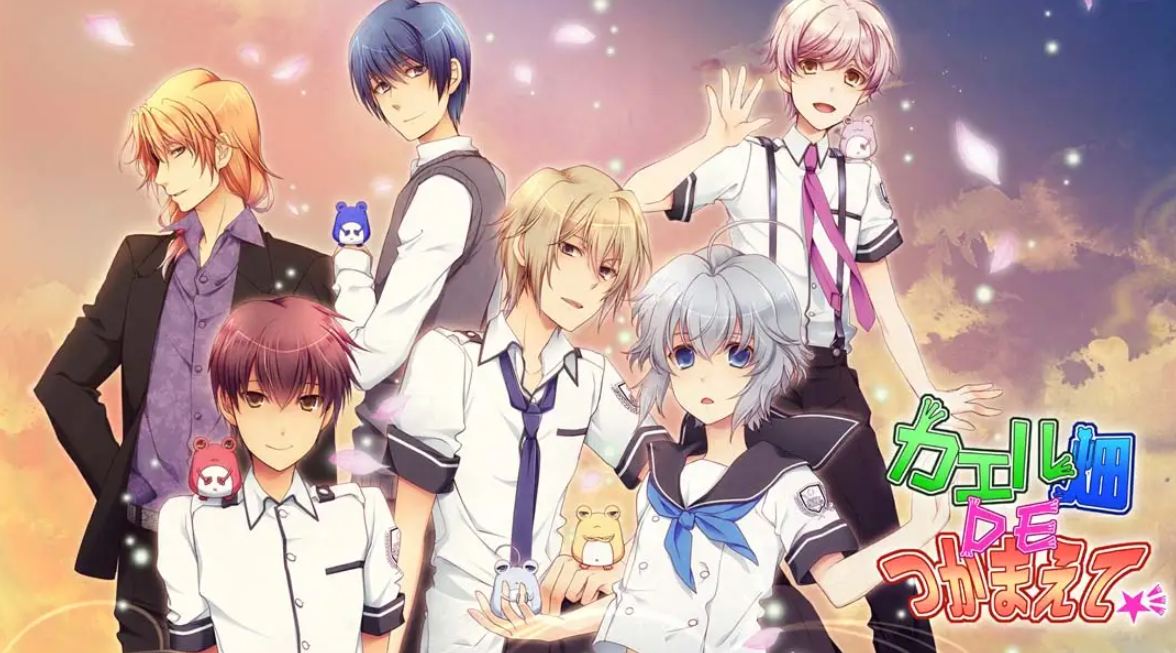 《蛙畑奇事 カエル畑DEつかまえて 乙女》Switch日文版XCI下载 – 含1.0.0补丁-悟思笔记，一个低调的学习营。