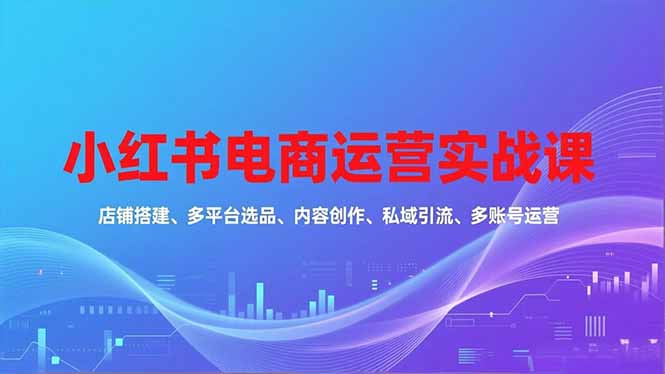 小红书电商运营实战课，店铺搭建、多平台选品、内容创作、私域引流、多账号运营等玩法-悟思笔记，一个低调的学习营。
