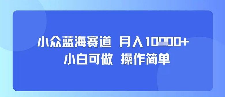 小众蓝海赛道，小白可做，操作简单，每天30分钟，月入1W+-悟思笔记，一个低调的学习营。