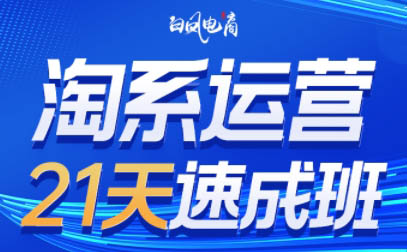 白凤电商·淘系运营21天速成班(更新4月)-悟思笔记，一个低调的学习营。