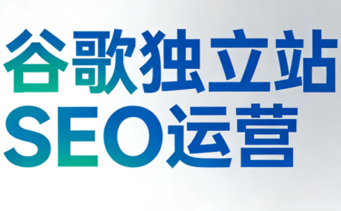 谷歌独立站SEO运营(更新2026)-悟思笔记，一个低调的学习营。