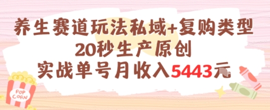 养生赛道玩法私域+复购类型，20秒生产原创实战单号月收入5k+-悟思笔记，一个低调的学习营。