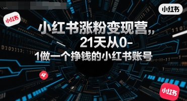 小红书涨粉变现营，21天从0-1做一个挣钱的小红书账号-悟思笔记，一个低调的学习营。