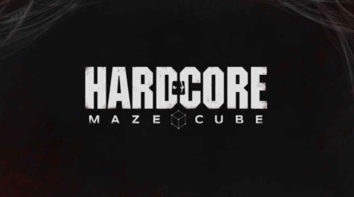 《硬核方块迷宫 Hardcore Maze Cube》Switch英文版NSZ下载 – 含1.0.2补丁-悟思笔记，一个低调的学习营。