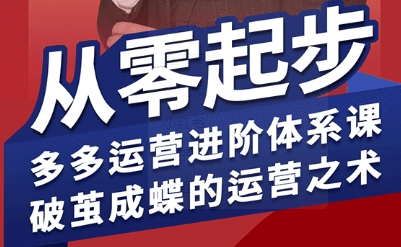 拼多多运营进阶系统课，从零起步，多多运营进阶体系课，破茧成蝶的运营之术-悟思笔记，一个低调的学习营。