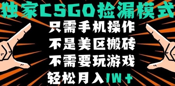 CSGO自动捡漏项目，最新独家玩法，不是美区搬砖，不需要了解和玩游戏，新手小白轻松月入1W+【揭秘】-悟思笔记，一个低调的学习营。