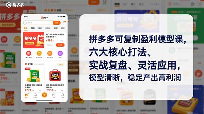 拼多多可复制盈利模型课，六大核心打法、实战复盘、灵活应用，模型清晰，稳定产出高利润-悟思笔记，一个低调的学习营。