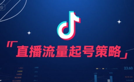 尼采老师·直播流量起号实战课-悟思笔记，一个低调的学习营。