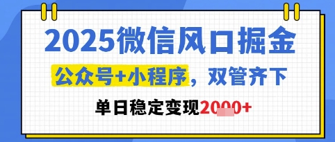 2025微信风口掘金，公众号+小程序双管齐下，单日稳定变现1k+【揭秘】-悟思笔记，一个低调的学习营。
