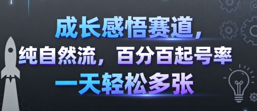 成长感悟赛道，纯自然流，百分百起号率 一天轻松多张-悟思笔记，一个低调的学习营。