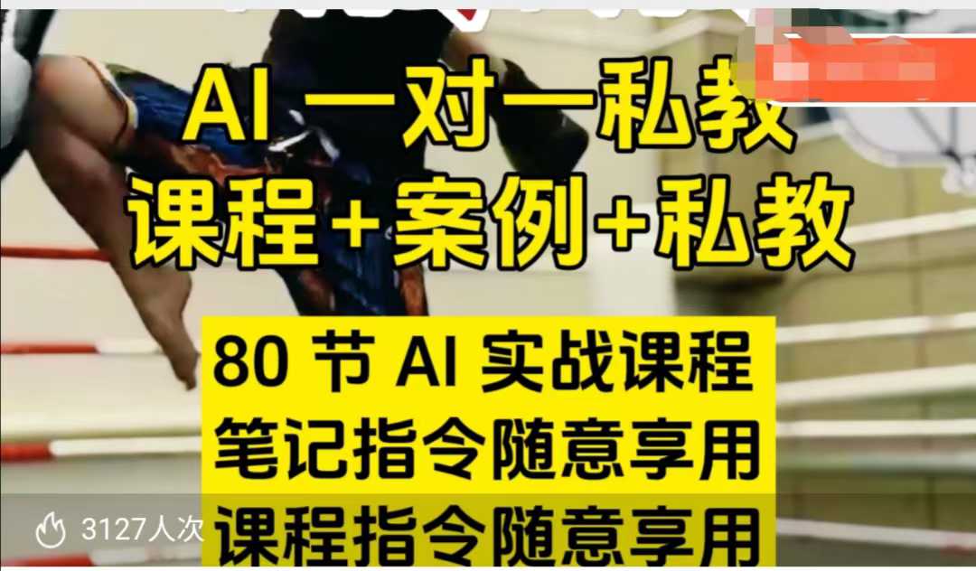 AI指令实战课，课程+案例，80节AI实战课程，笔记指令随意享用，课程指令随意享用(更新7月)-悟思笔记，一个低调的学习营。