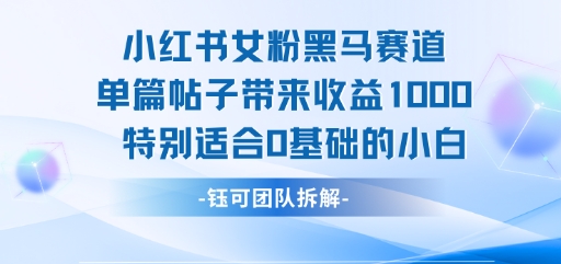 小红书女粉黑马赛道单篇帖子带来收益1k+，特别适合0基础的小白-悟思笔记，一个低调的学习营。
