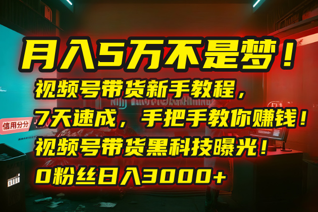 月入5万不是梦！视频号带货新手教程，7天速成，手把手教你赚钱！视频号…-悟思笔记，一个低调的学习营。