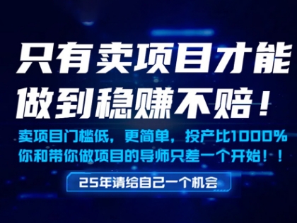 只有卖项目才能做到稳挣不赔，门槛低，更简单，你也可以年入百个W【揭秘】-悟思笔记，一个低调的学习营。