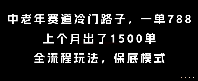 中老年赛道冷门路子，一单788，上个月出了1500单，全流程玩法，保底模式【揭秘】-悟思笔记，一个低调的学习营。