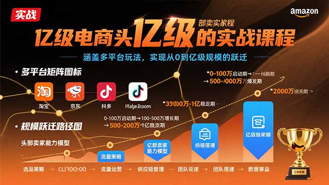 亿级电商头部卖家的实战课程：涵盖多平台玩法，实现从0到亿级规模的跃迁-悟思笔记，一个低调的学习营。