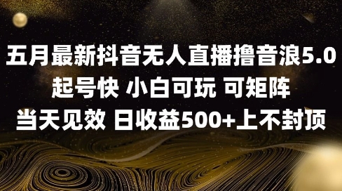 2025五月最新无人直播撸音浪单日产出5张+实操教程【揭秘】-悟思笔记，一个低调的学习营。