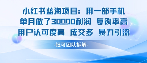 小红书蓝海项目，一部手机单月做了3W利润，小白也能月入过1W用户认可度高成交多-悟思笔记，一个低调的学习营。