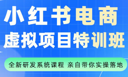 陆明明·小红书虚拟项目特训班(更新9月)-悟思笔记，一个低调的学习营。