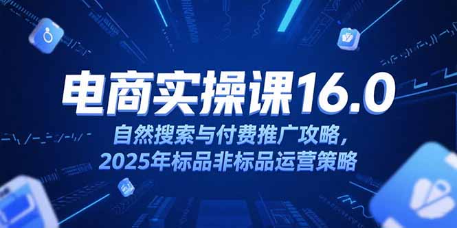 淘宝电商运营课16.0，自然搜索与付费推广攻略，2025年标品非标品运营策略-悟思笔记，一个低调的学习营。