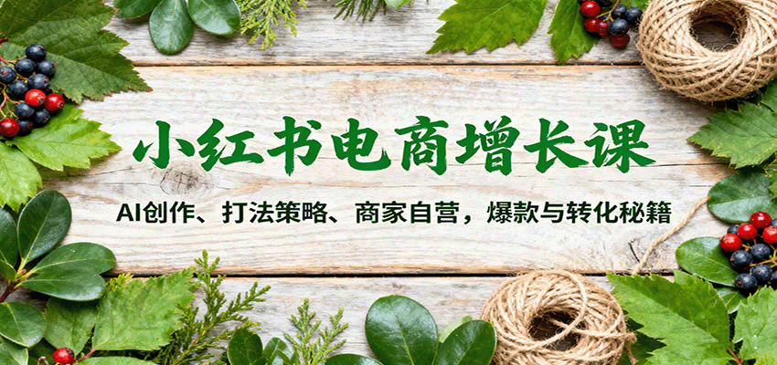 小红书电商增长课：AI创作、打法策略、商家自营，爆款与转化秘籍-悟思笔记，一个低调的学习营。