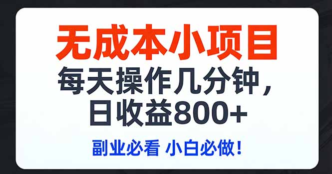 无成本小项目,每天操作几分钟,日收益800+ 副业必看 小白必做！-悟思笔记，一个低调的学习营。