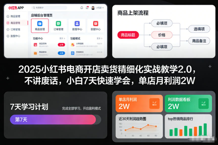 2025小红书电商开店卖货精细化实战教学2.0，不讲废话，小白7天快速学会，单店月利润2W-悟思笔记，一个低调的学习营。