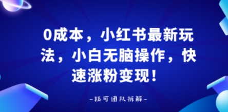 0成本，小红书最新玩法，小白无脑操作，快速涨粉变现-悟思笔记，一个低调的学习营。